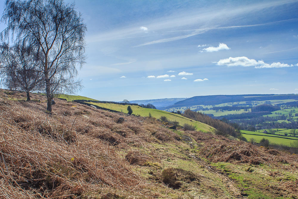 Derwent Valley Derwent Valley